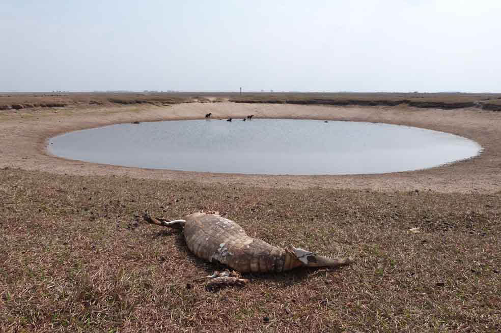 ‘Fuerte verano en Casanare es normal’: Ideam