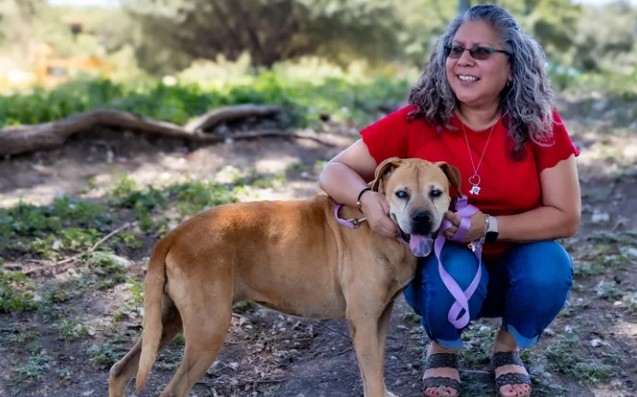 Gracias a la IA perrita ciega se reúne con su familia tras 33 días perdida