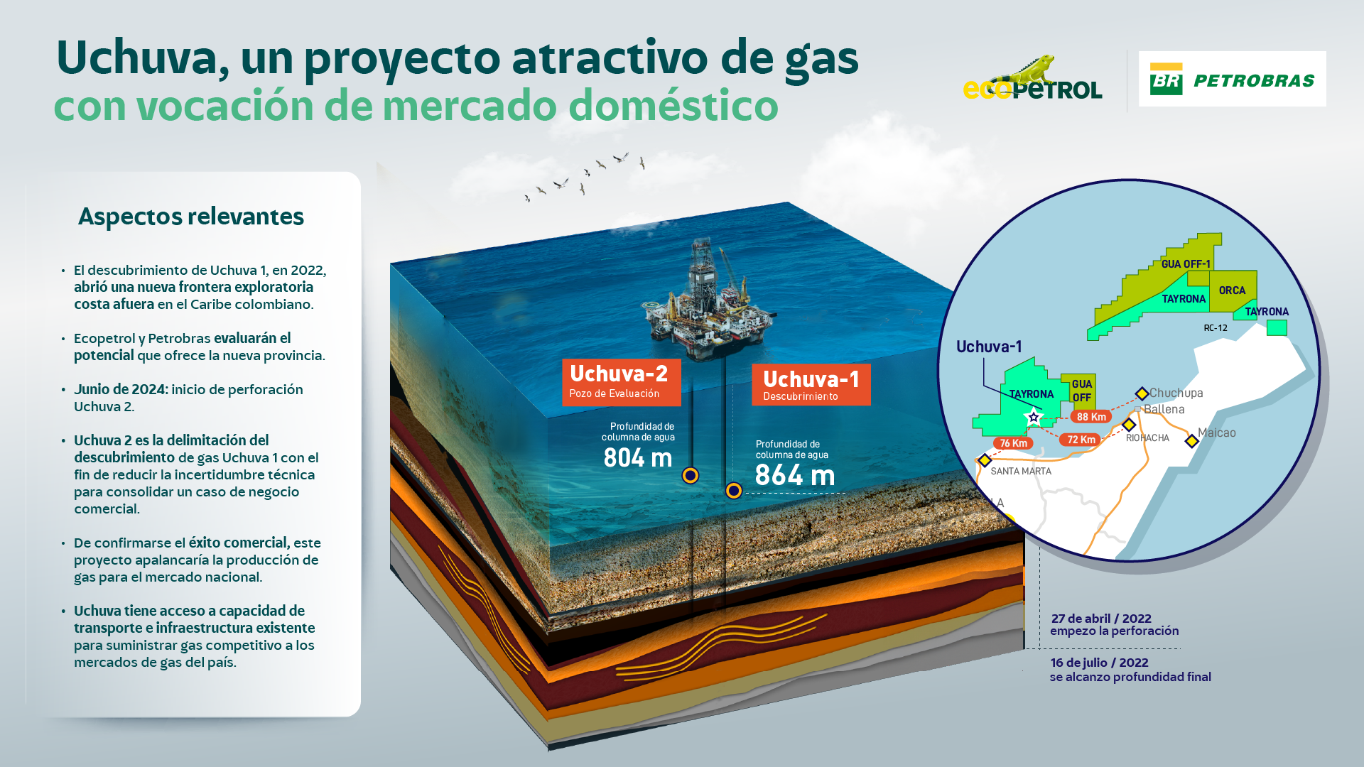 Infografía de Uchuva -2.