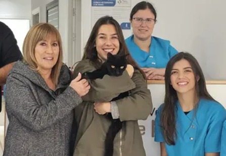 Milagro de Navidad: gato Oreo se reencuentra con su familia tras casi ocho años perdido