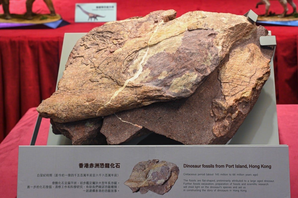Científicos encontraron fósiles de dinosaurio por primera vez en una isla remota