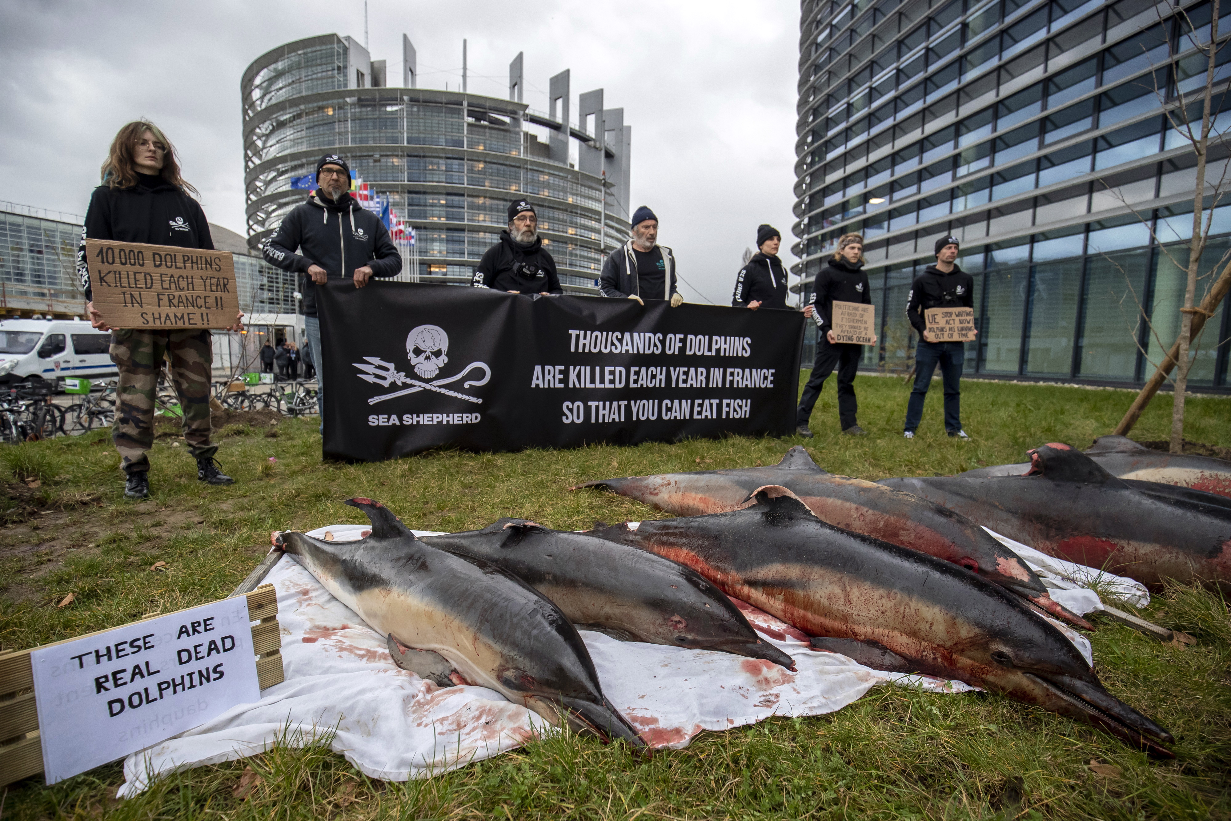 -FOTODELDÍA- ESTRASBURGO (FRANCIA), 14/03/2023.-Activistas de la ONG Sea Shepherds han transportado siete delfines muertos hasta las puertas del Parlamento Europeo en Estrasburgo este martes. La asociación para la defensa de los océanos pide así al gobierno galo una mejora sustancial en la regulación de pesca. EFE/ Julien Warnand