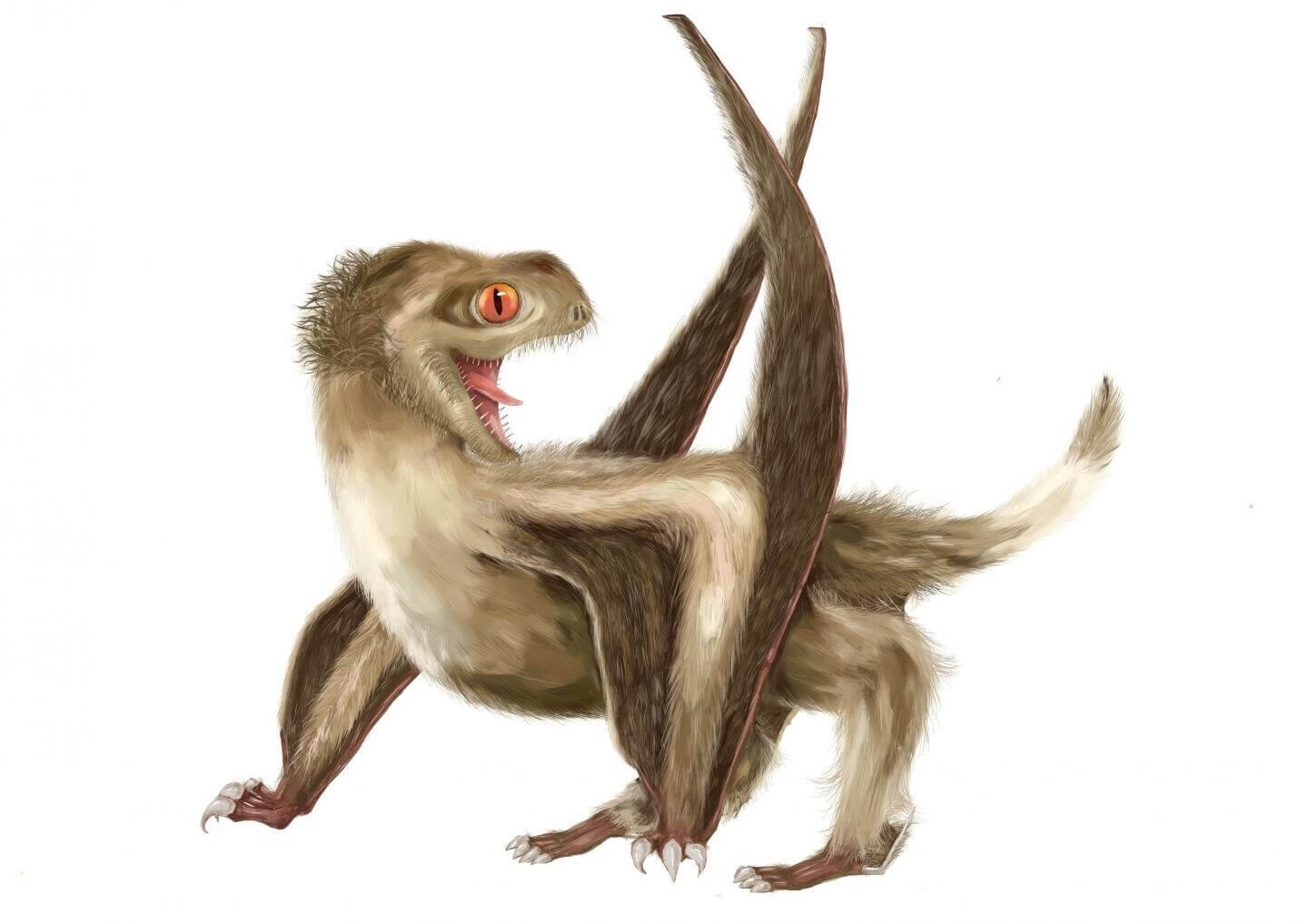 ¿Qué vino primero: el pájaro o la pluma? la ciencia tiene la respuesta