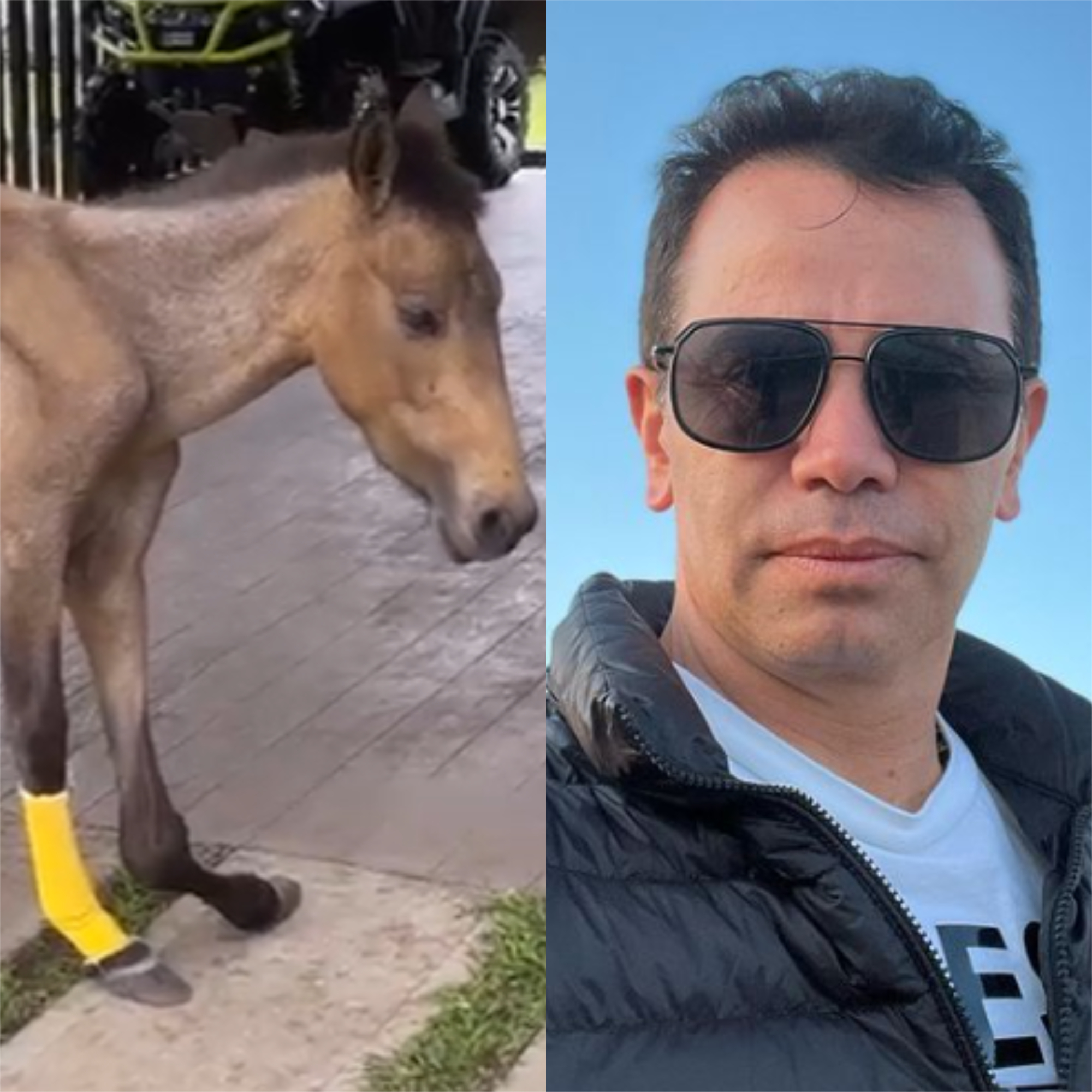 Jhonny Rivera pide ayuda para costosa cirugía de su caballo ‘Valentino’