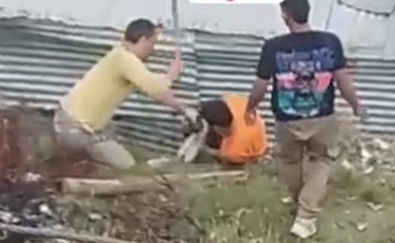 Macabro caso de maltrato animal en Bogotá: perrito fue atacado a machete por dos individuos