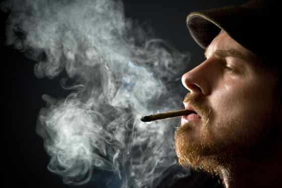 Uruguay pide comer marihuana, no fumarla