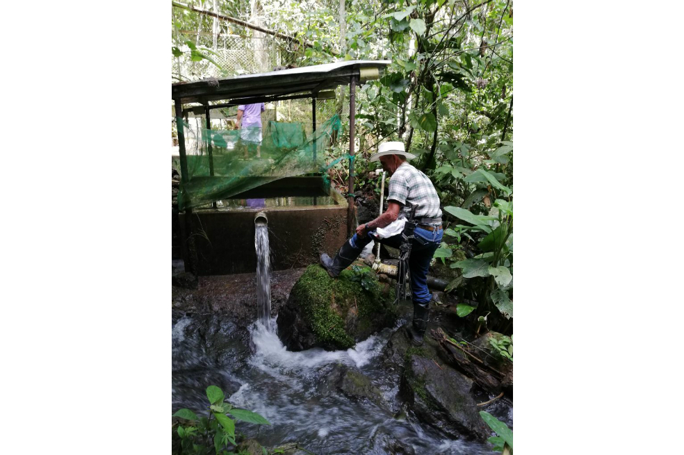 El acueducto que enfrenta a la comunidad de Bosque Alto y la Alcaldía de San Vicente de Chucurí