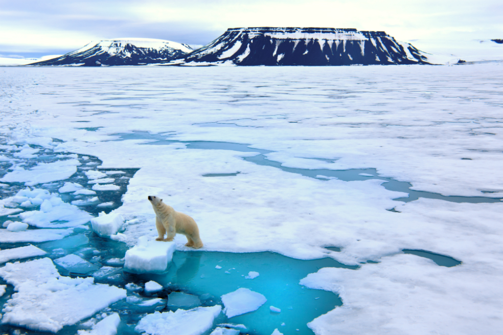 Lo que debe saber sobre Svalbard, el reino del oso polar
