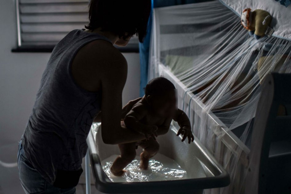 En dos meses OMS sabrá si el zika causa microcefalia o Guillain-Barré