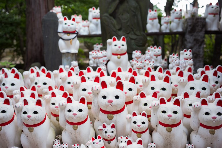 Así es el templo de los "gatos de la suerte"