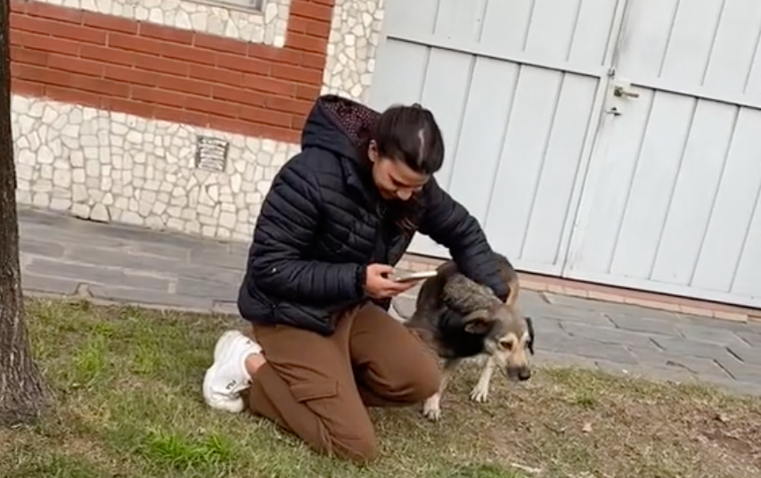 Video viral: mujer iba en moto y encontró a su perro perdido por más de tres años