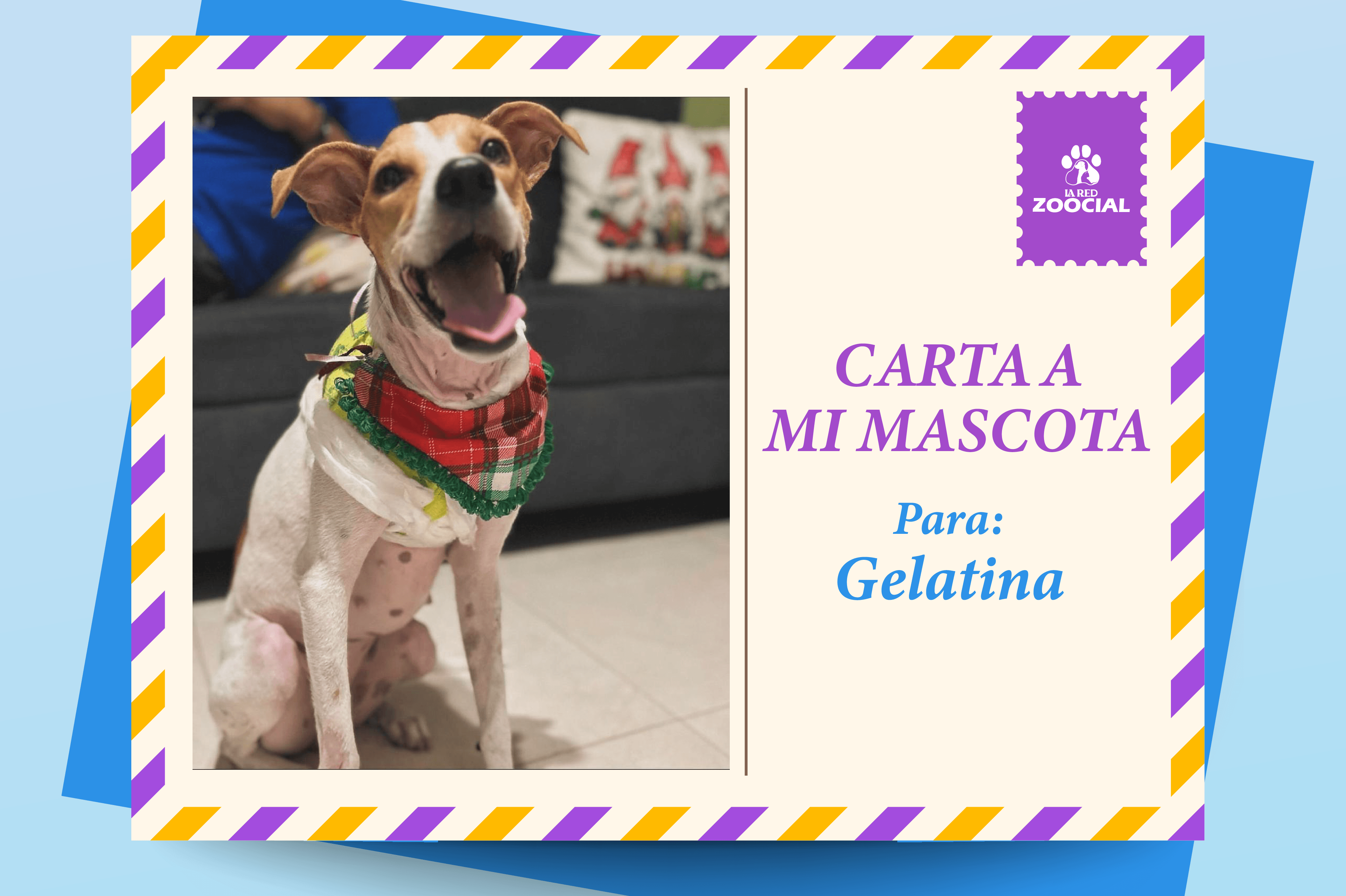 Gelatina, un ángel con discapacidad que me salvó porque la salvé y ahora busca una familia
