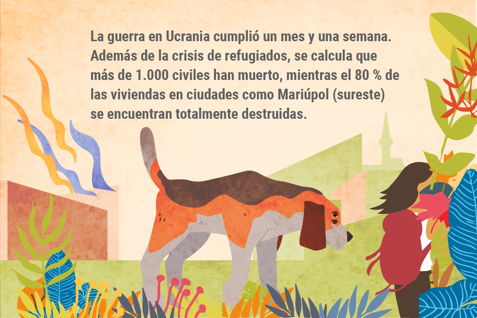 La guerra en Ucrania cumplió un mes y una semana. Además de la crisis de refugiados, se calcula que más de 1.000 civiles han muerto, mientras el 80 % de las viviendas en ciudades como Mariúpol (sureste) se encuentran totalmente destruidas.