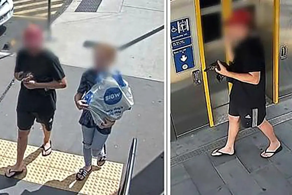 Australia: hombre extrajo de su hábitat a un ornitorrinco y paseó con él en un tren