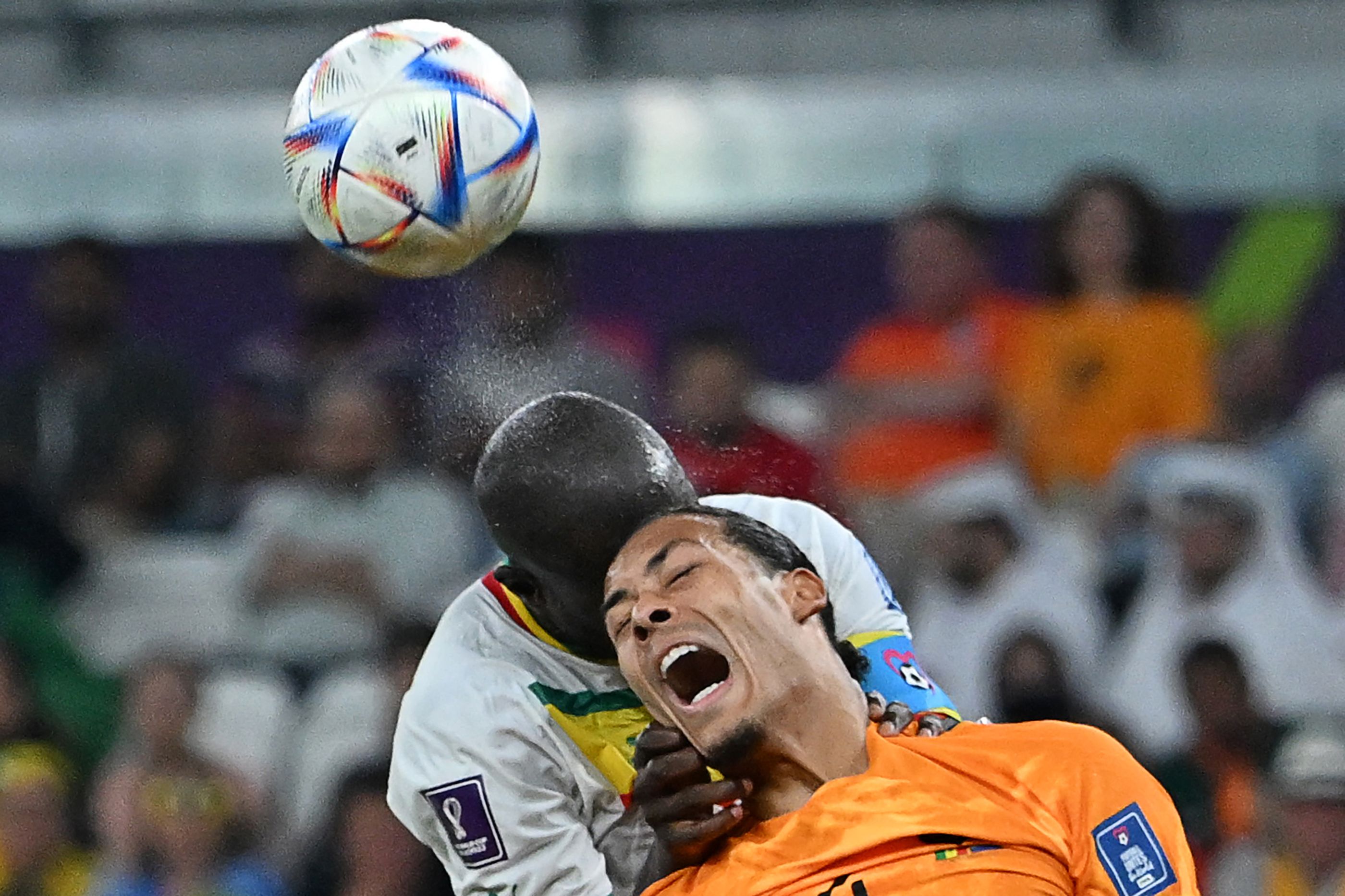 Países Bajos vs. Senegal, Mundial de Fútbol  Catar 2022
