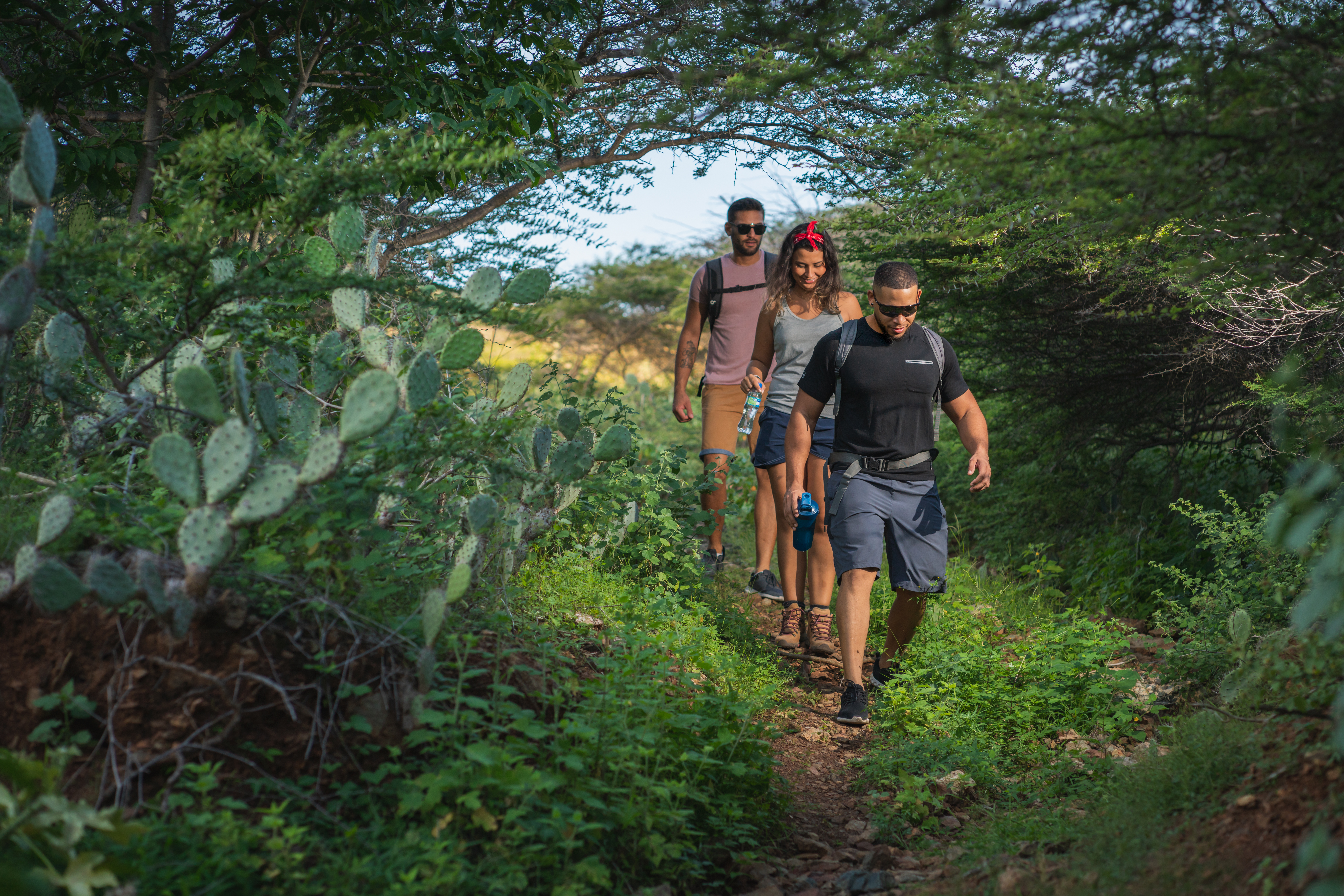 Aruba, una isla feliz, está ubicada a 25 km de las costas de Sudamérica.
