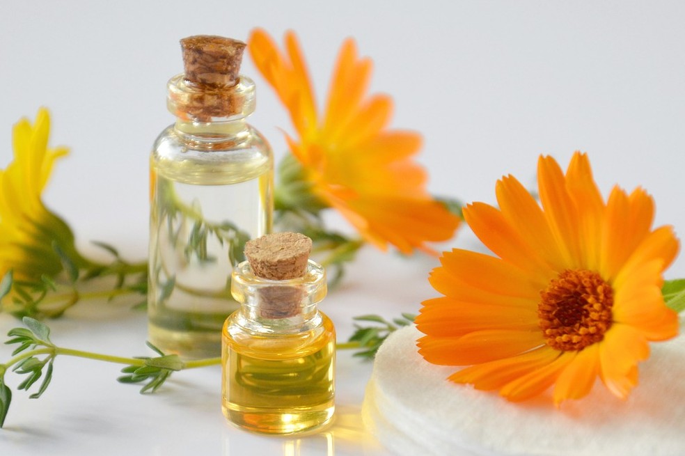 ¿Busca plantas antiinflamatorias? Aquí tiene cinco opciones para aliviar el dolor