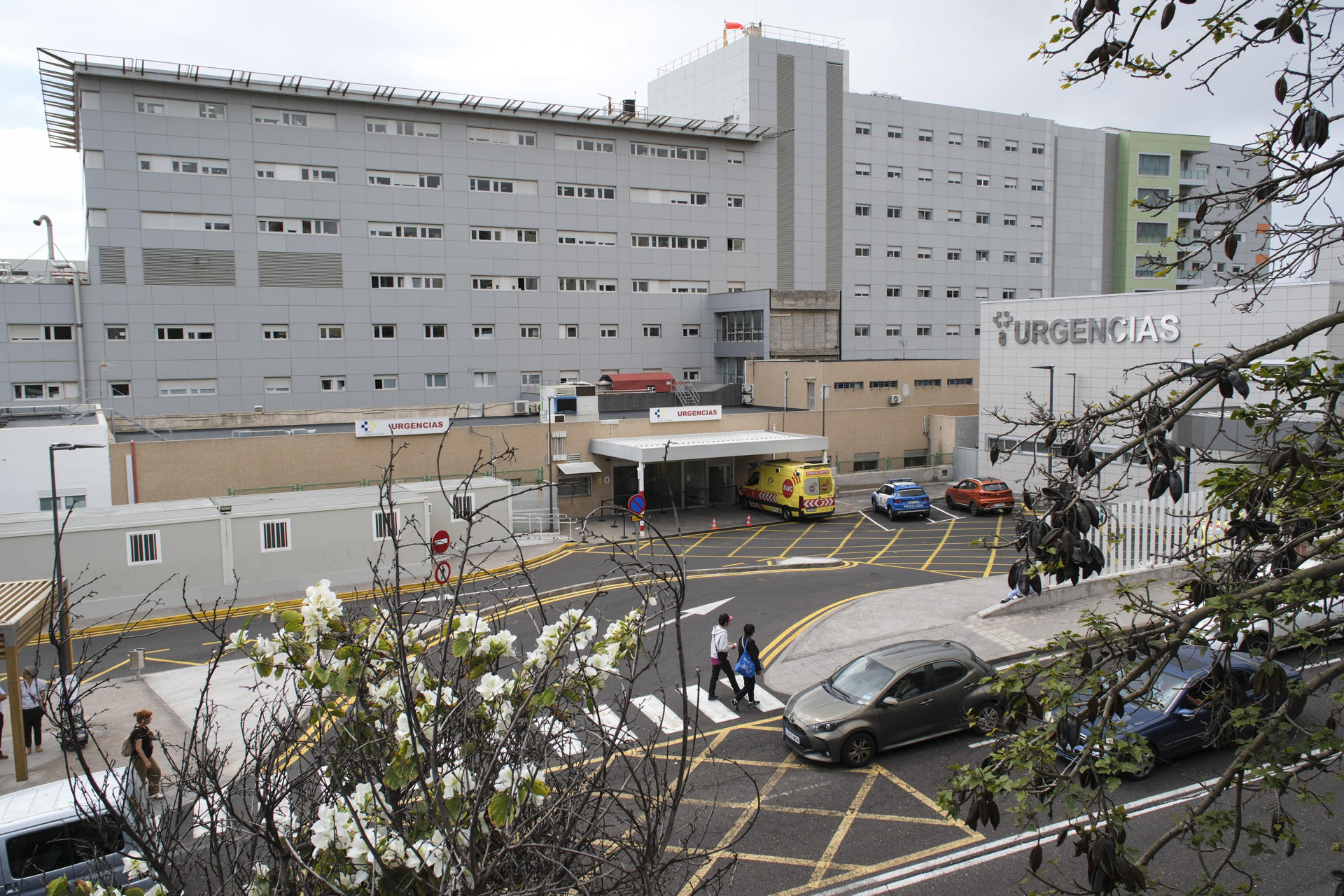 Tensión en Tenerife: protestan por llegada de crucero con pacientes de hantavirus