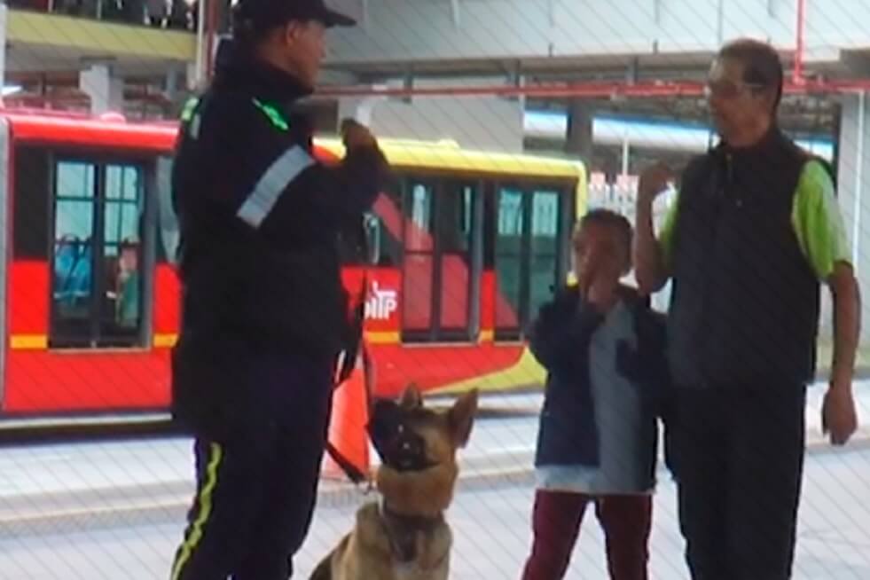 Transmilenio se despide de los ‘perros anticolados’