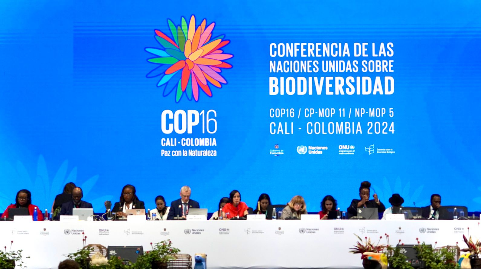 “En las COP siempre hay un momento de crisis el viernes”