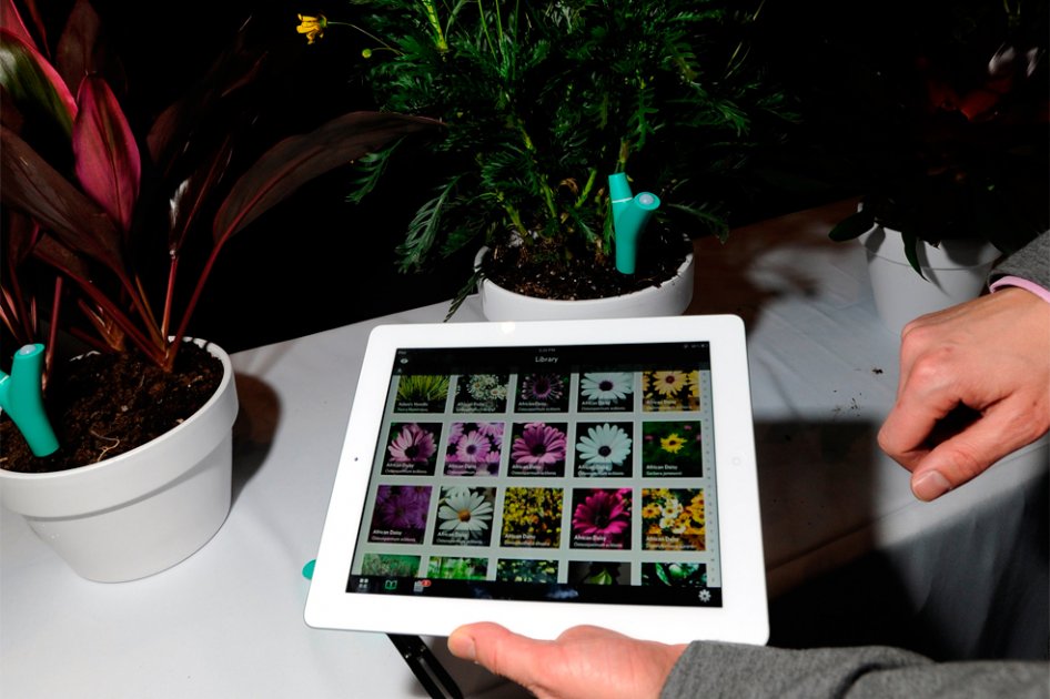 Móviles y tabletas se ‘darán pantalla’ en el CES 2013