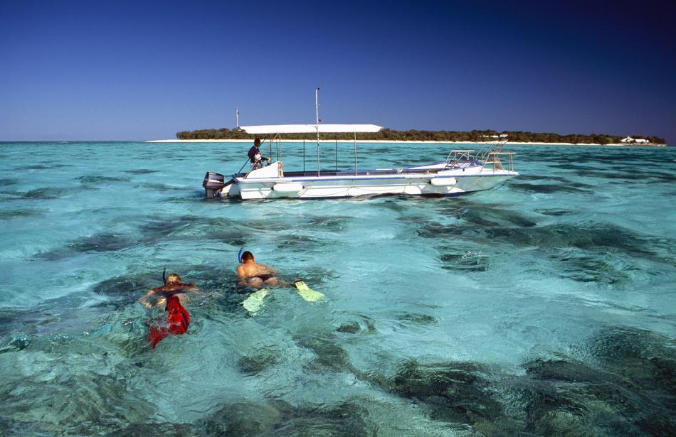 Heron Island, un paraíso para buceadores