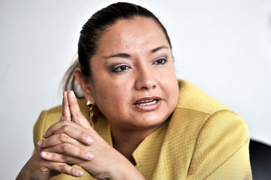 Este jueves el presidente Juan Manuel Santos nombró a Luz Elena Sarmiento nueva ministra de Ambiente. / Archivo