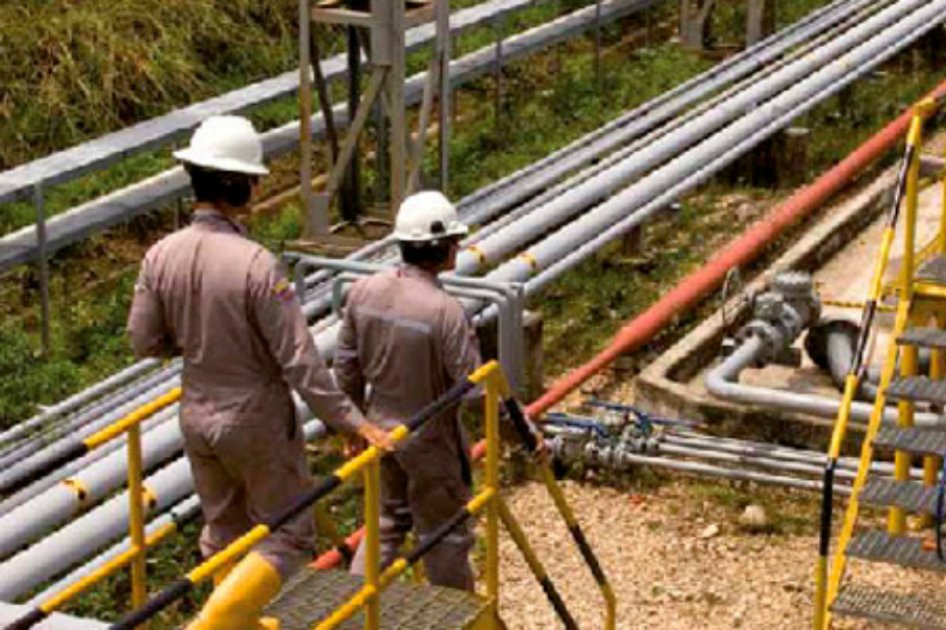 Proyecto British Petroleoum/ Equion a cargo de Petrotiger.