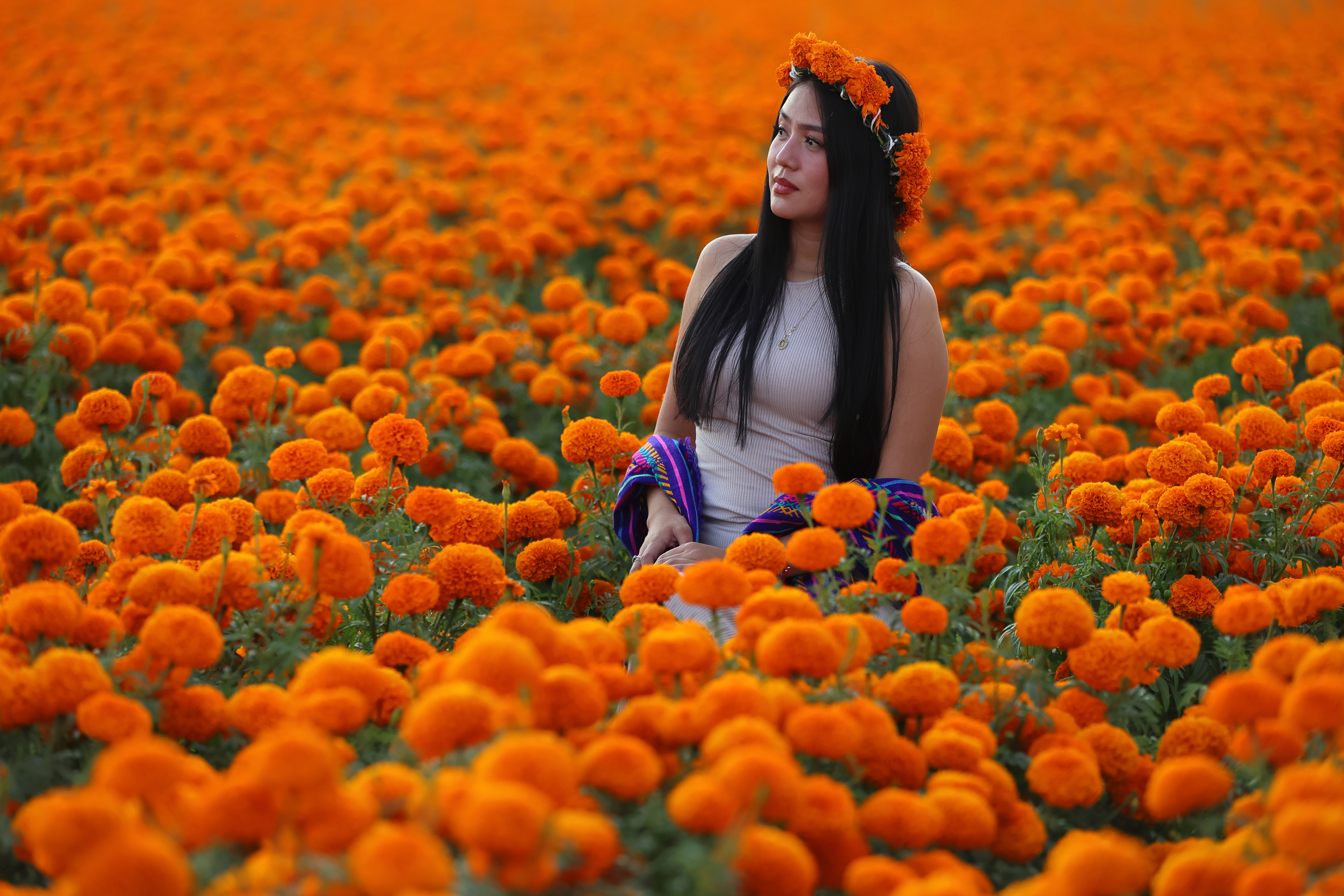 Cinco flores perfectas para darle un toque de Halloween a su hogar