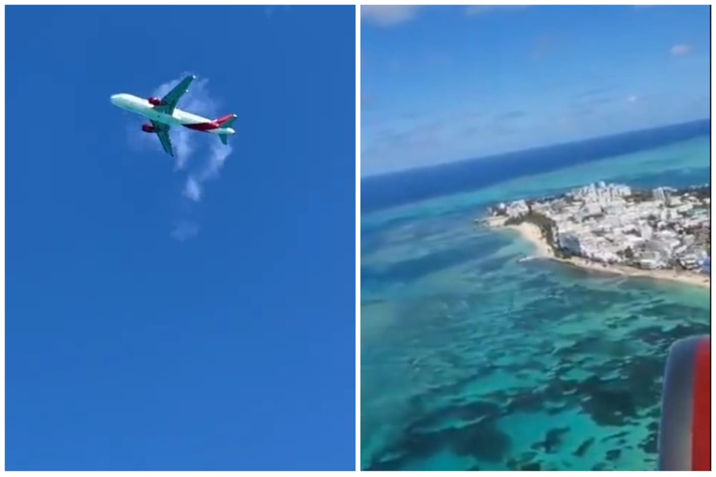 Video: avión de Avianca tuvo que aterrizar de emergencia por culpa de un ave