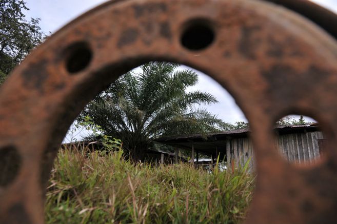 Declaran inocentes a empresarios opitas señalados de ser testaferros de las Farc