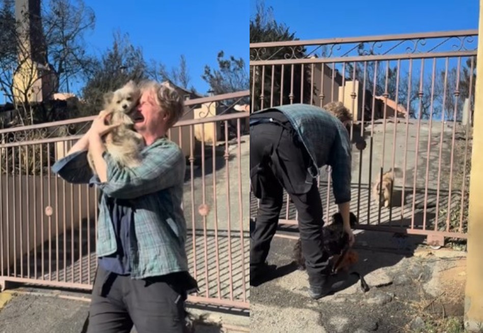 Así fue el reencuentro de Oreo y su dueño tras sobrevivir al fuego en Los Ángeles