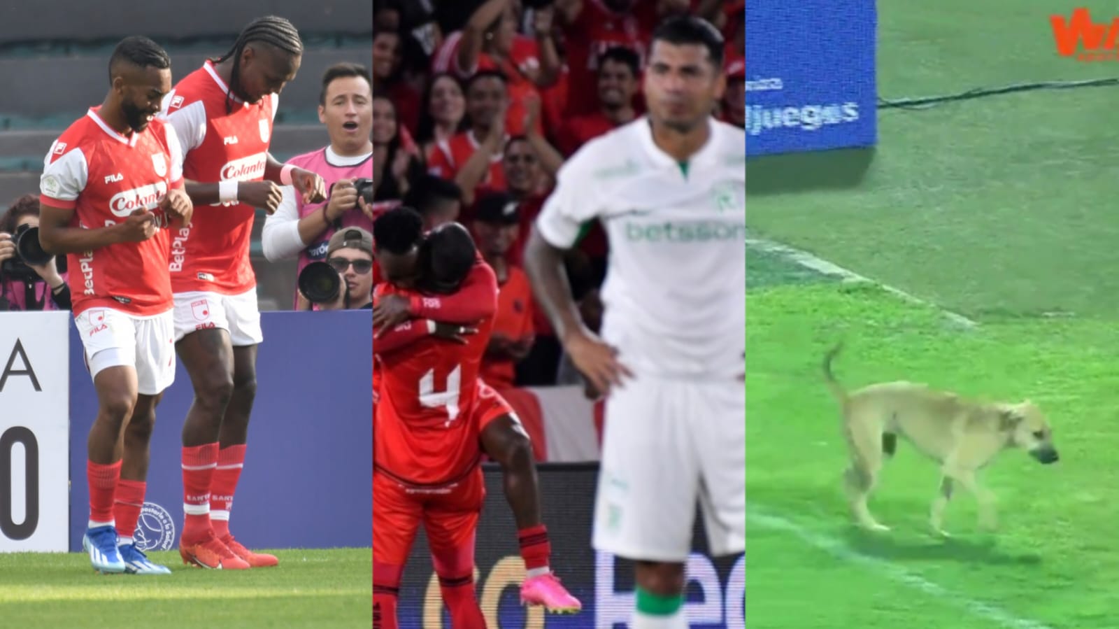 Santa Fe, América y Millonarios