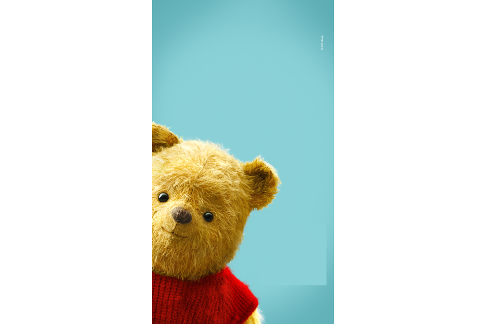 winnie the pooh christopher robin peluche