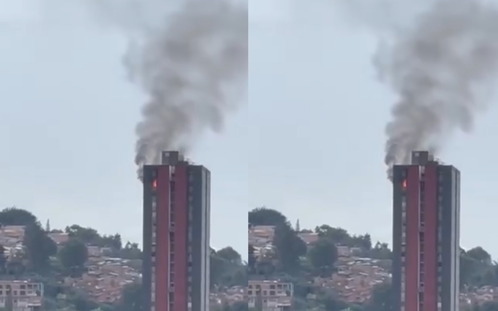 Murieron cinco mascotas tras incendio en un apartamento en Medellín