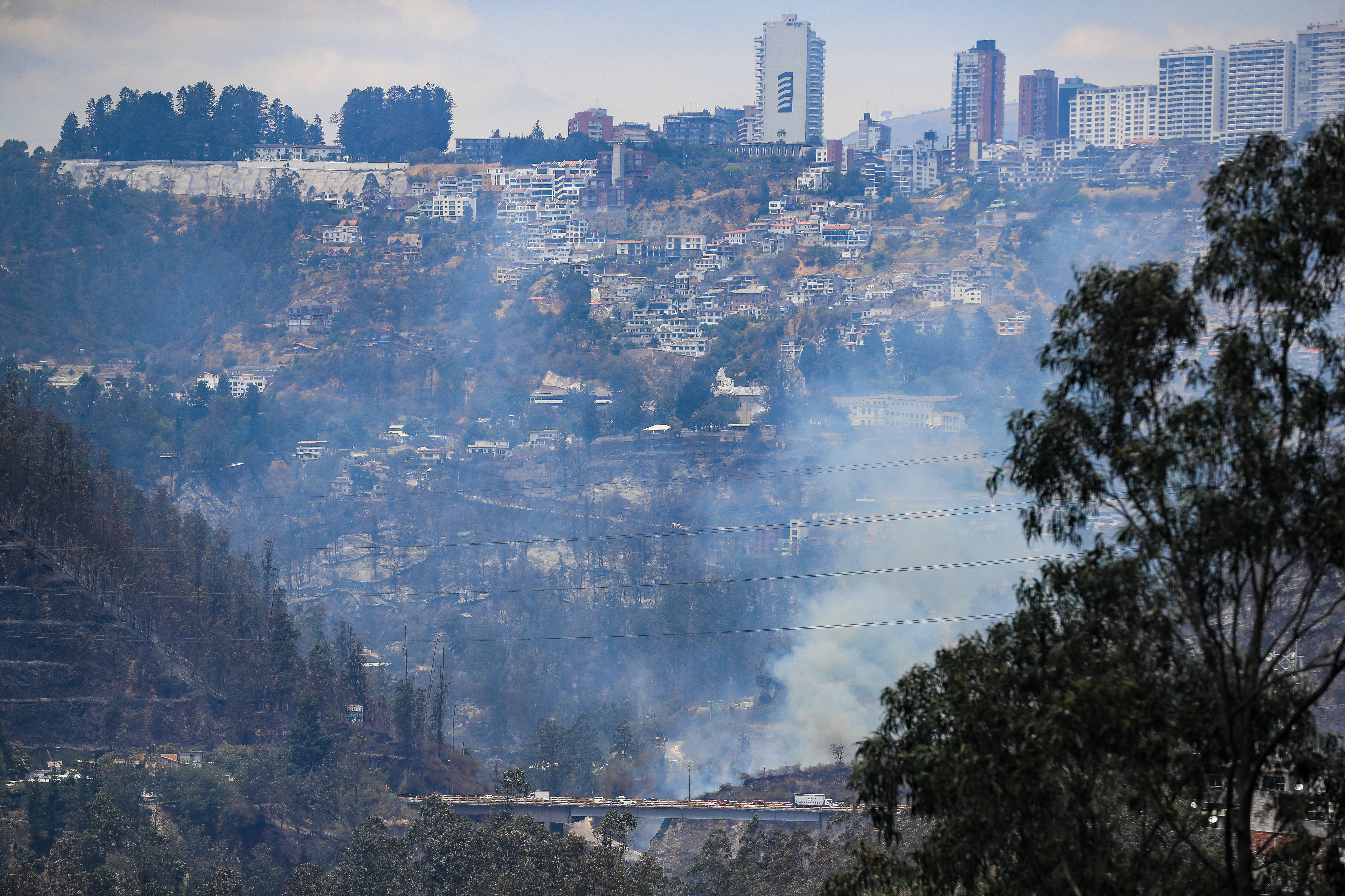 AME2515. QUITO (ECUADOR), 25/09/2024.- Fotografía de un incendio forestal este miércoles, en Quito (Ecuador). El número de heridos por el incendio que ha puesto en jaque a Quito, la capital de Ecuador, subió este miércoles a siete, mientras que las autoridades siguen intentando controlar varios focos aún activos, a la vez que buscan a los presuntos causantes de este fuego que se presume intencionado, con recompensas incluidas para quien dé información que facilite su identificación y captura. EFE/José Jácome