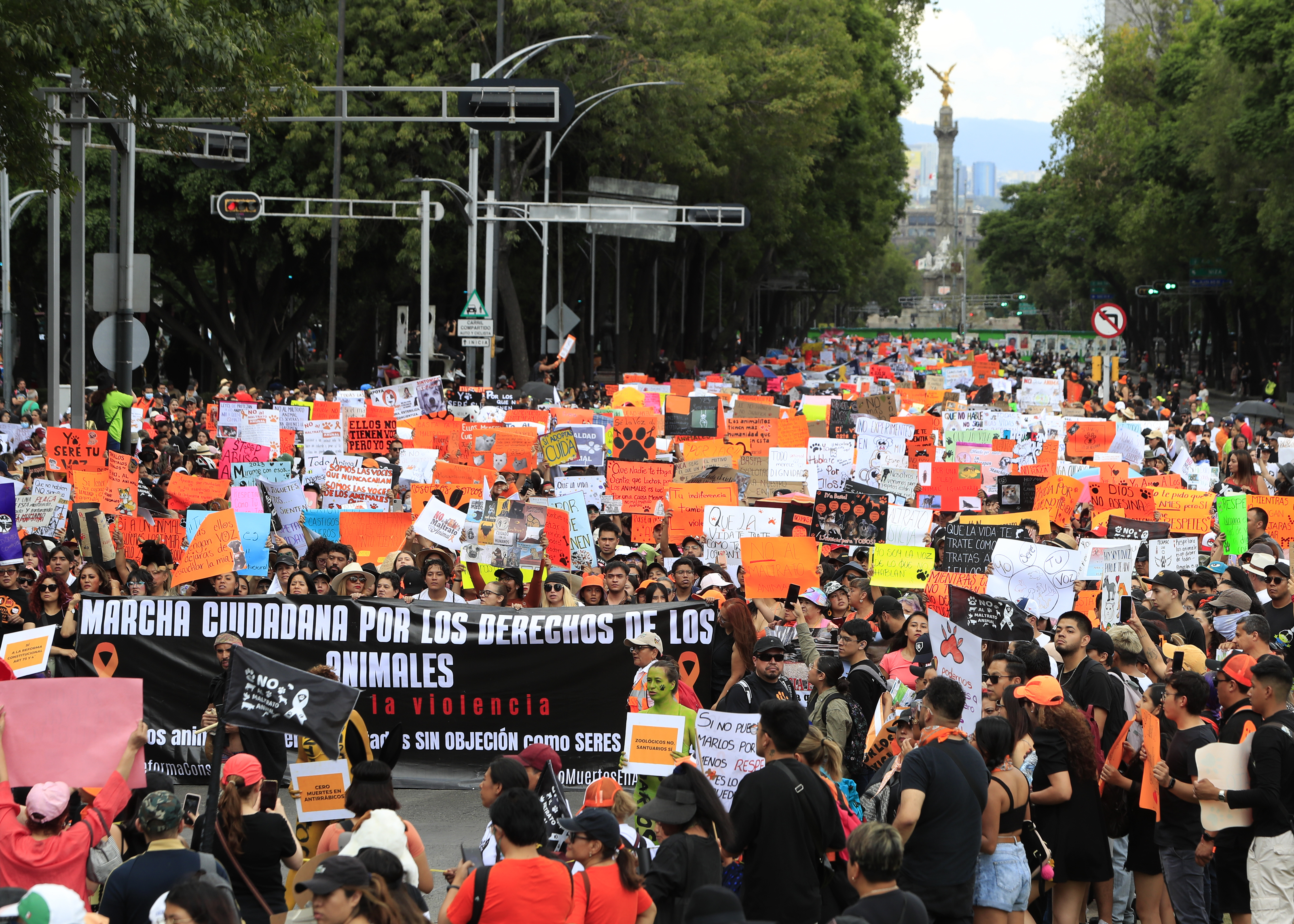 MEX8647. ACAPULCO (MÉXICO), 25/06/2023.- Personas convocadas por organizaciones defensoras de los derechos de los animales protestan hoy, en el balneario de Acapulco, en el estado de Guerrero (México). Miles de personas se manifestaron este domingo en calles de la Ciudad de México y otras ciudades para exigir un alto a la violencia contra los animales ante los cada vez más frecuentes casos de maltrato y crueldad que se han reportado en el país, además de penas más severas contra quien cometa estos delitos. EFE/David Guzmán