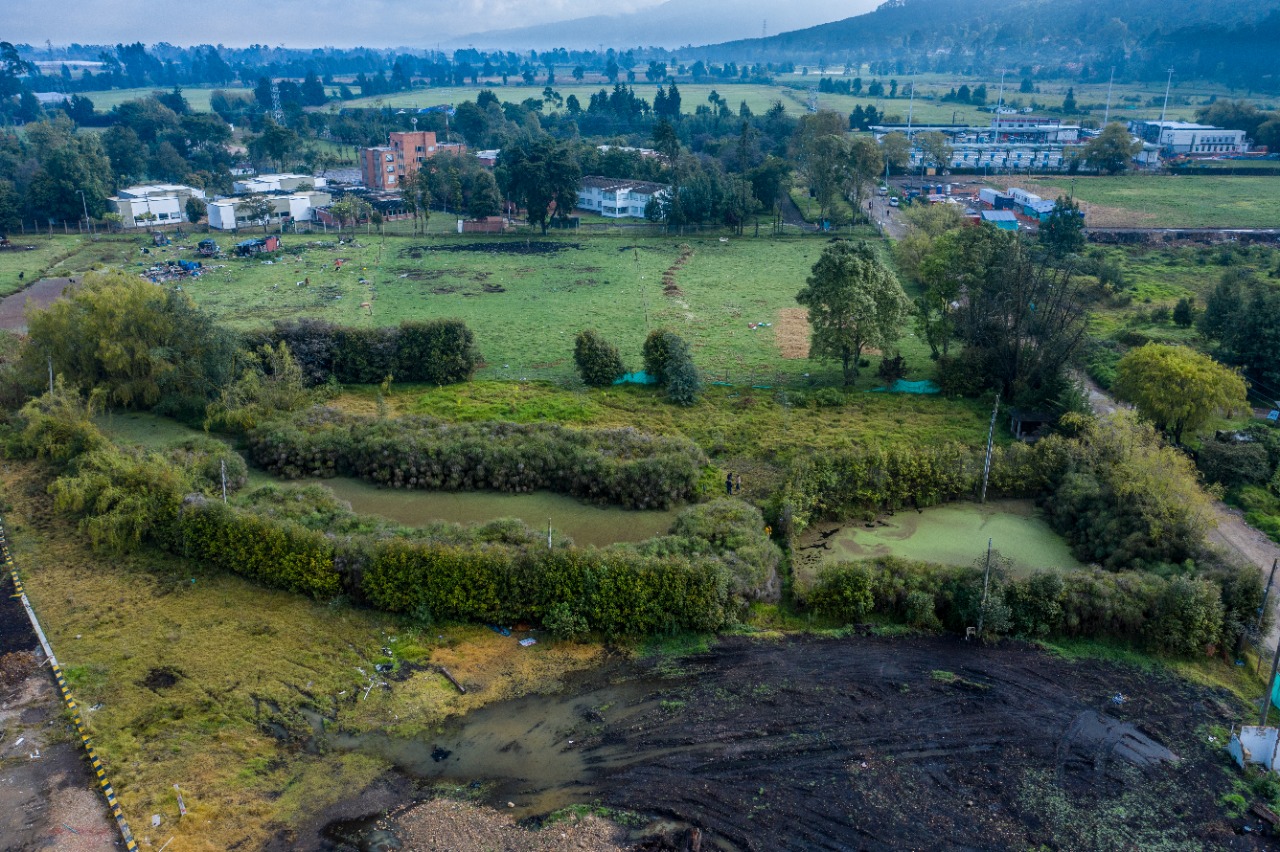 Un nuevo humedal fue descubierto en Bogotá