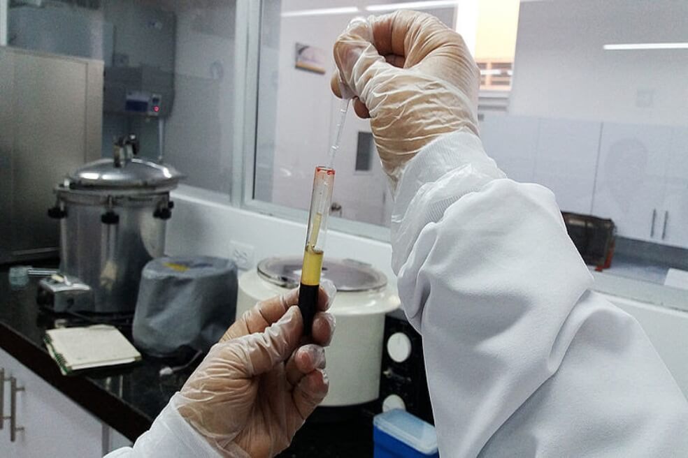 Colombiano desarrolla alternativa a la experimentación en animales