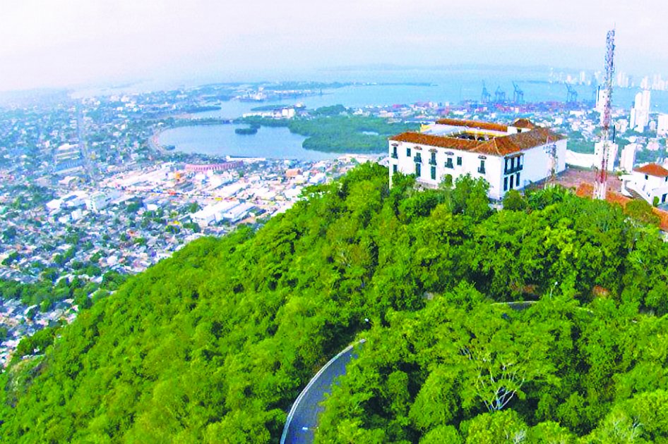 Capturan a dos personas por talar árboles en el Cerro de La Popa, en Cartagena