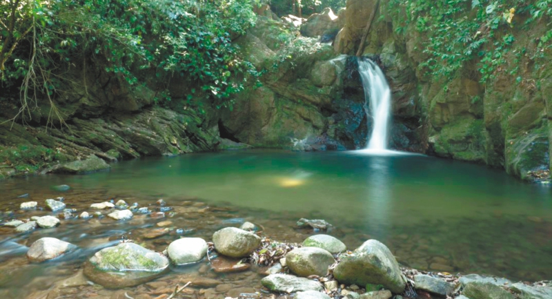 Las claves para conservar el agua en Antioquia durante el próximo gobierno