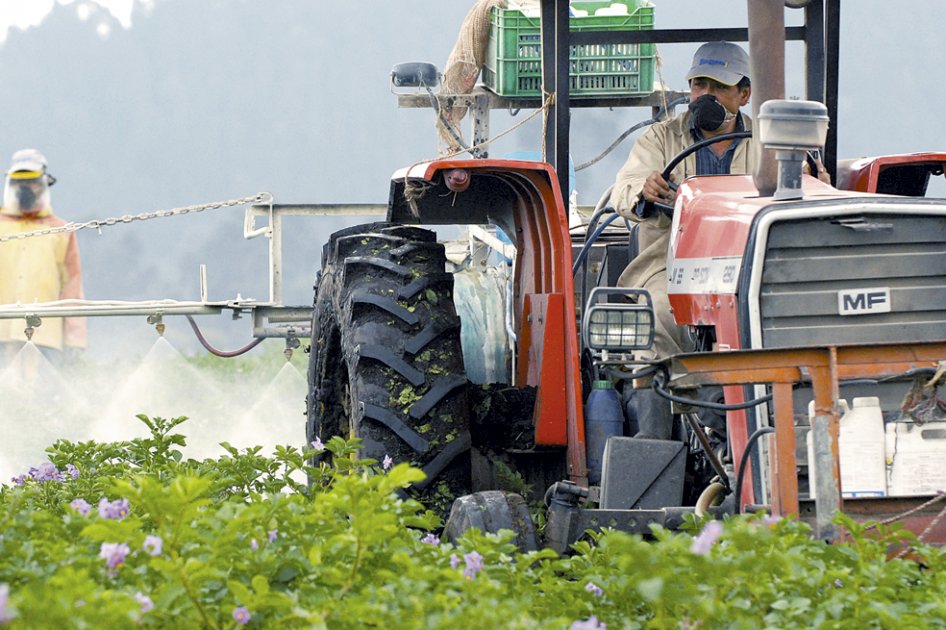 Los dueños de  los fertilizantes en Colombia
