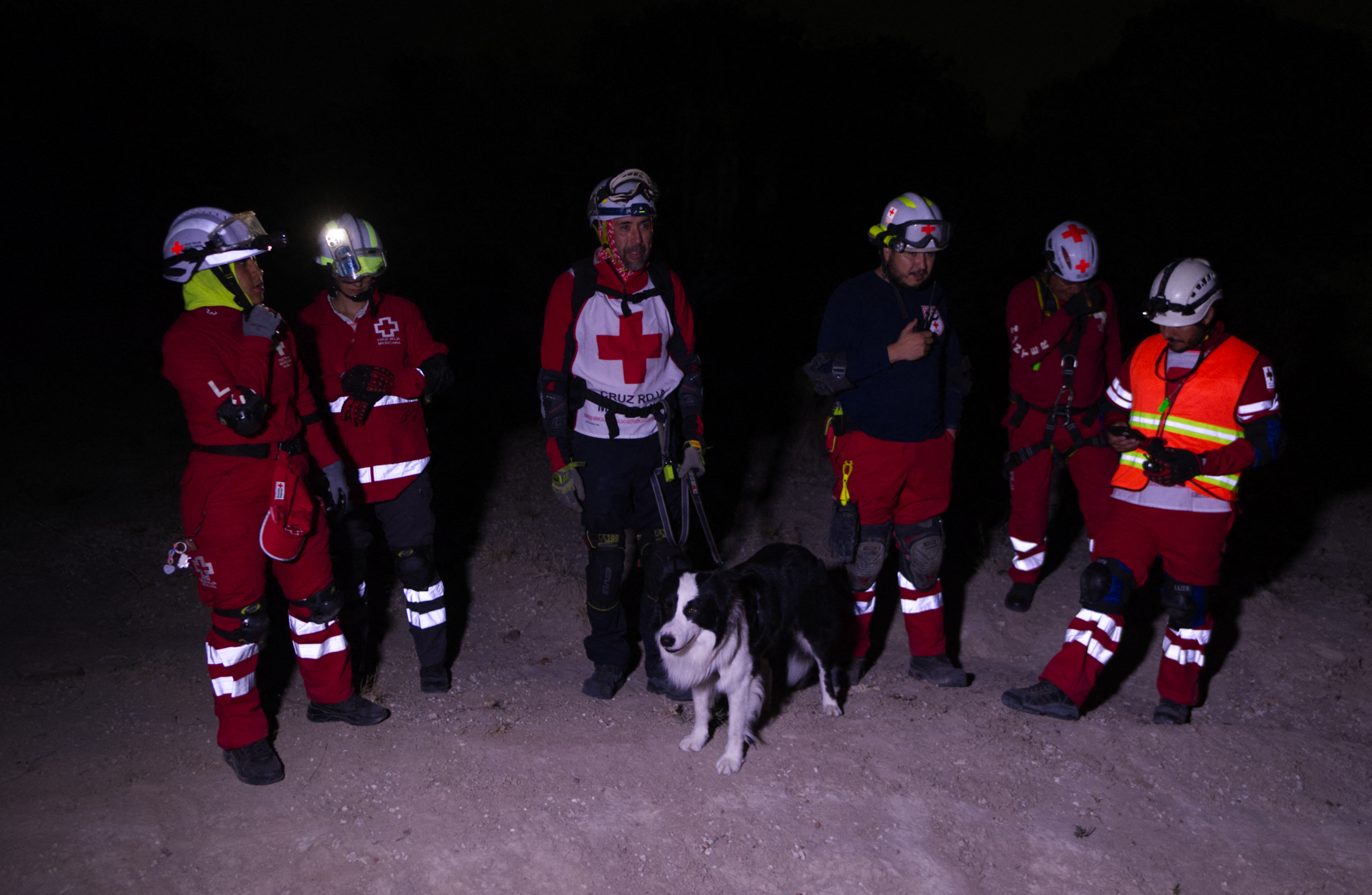 Perros mexicanos se entrenan para salvar vidas en todo el mundo