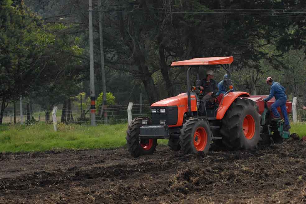 La Cepal recomendó invertir en innovación tecnológica en sectores como el agro.