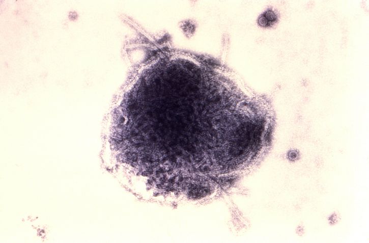Entrevista con un Nobel de Medicina: “hay muchas cosas que no entendemos sobre los virus”