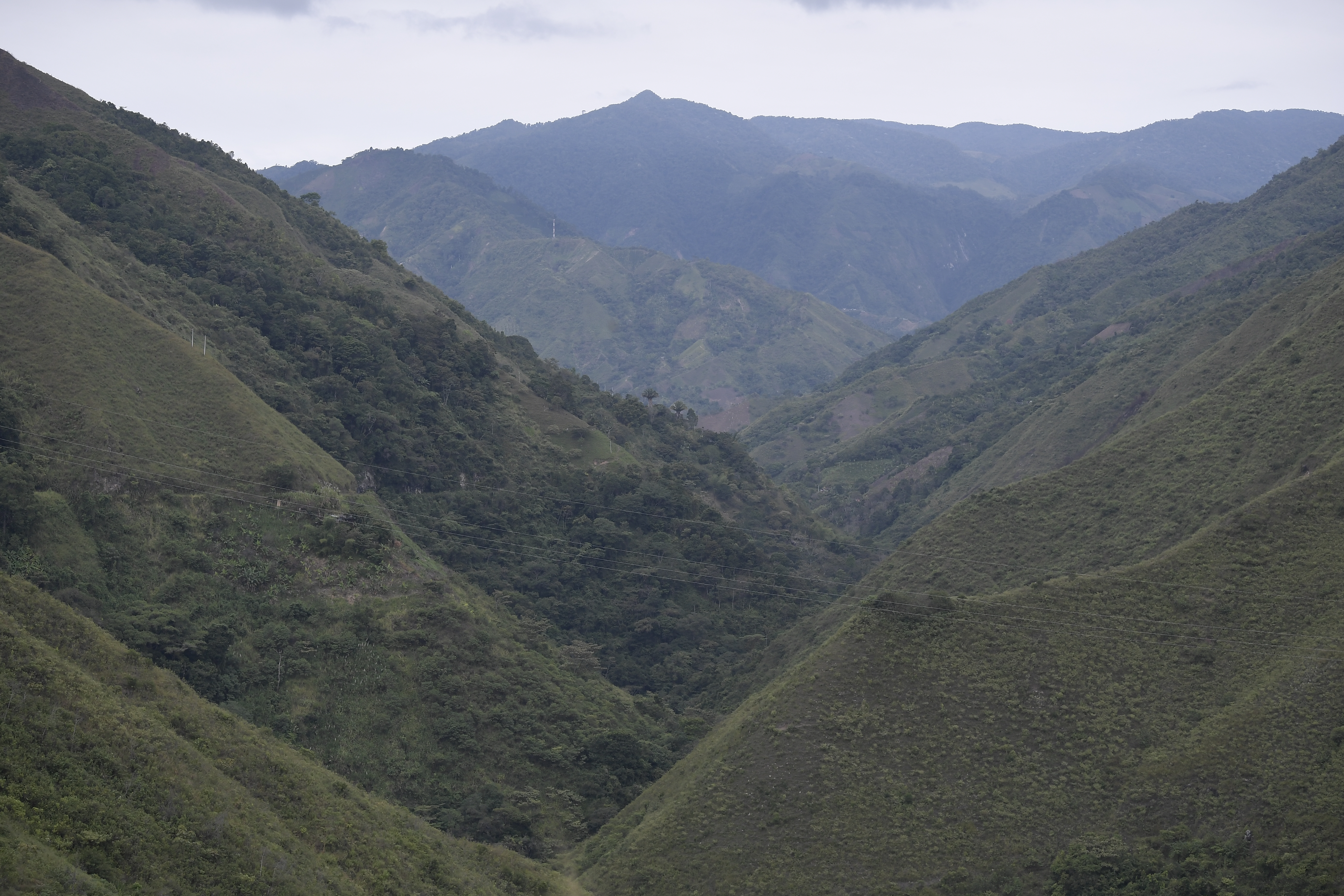 La Tierra puede perder hasta un 10 % de su biodiversidad para 2050