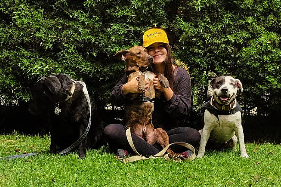 La Fundación Colitas Felices cuida 135 perros callejeros y busca apoyo