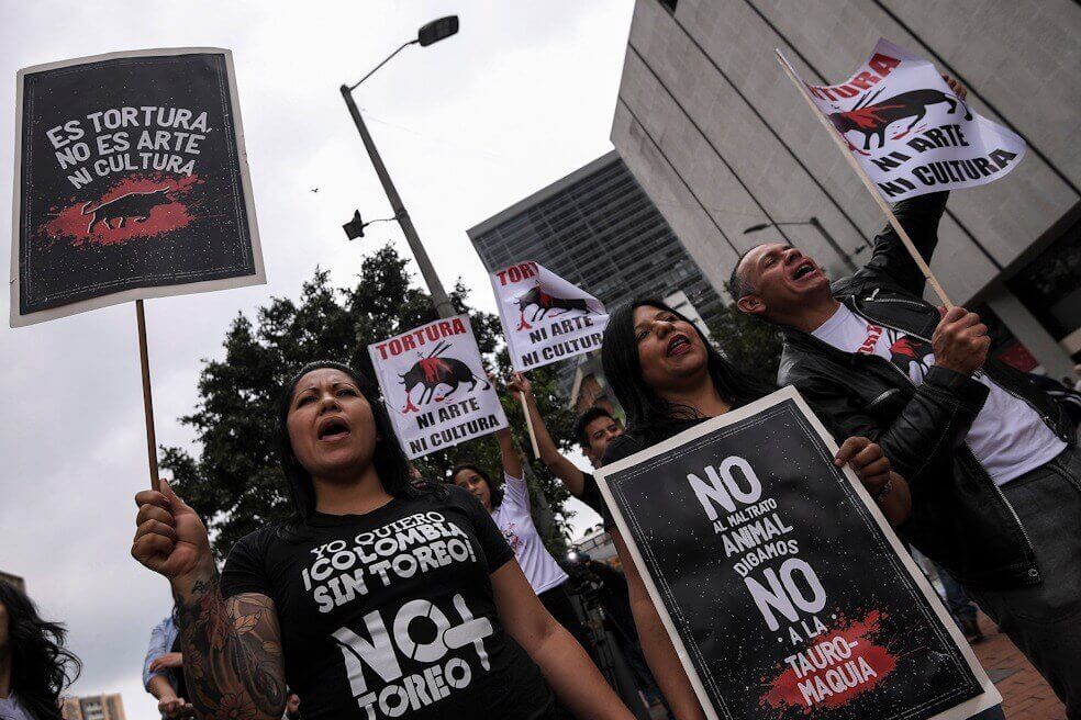 Colectivo de mujeres animalistas protestarán semidesnudas contra corridas de toros en Bogotá
