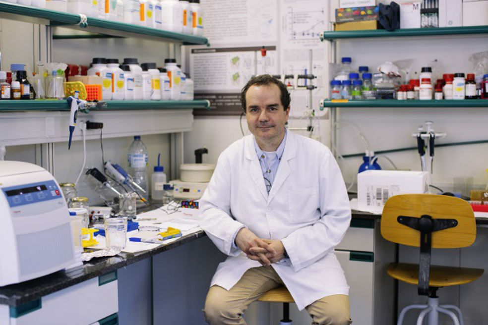 Diseñan un fármaco con potencial para tratar el Parkinson que se activa con la luz