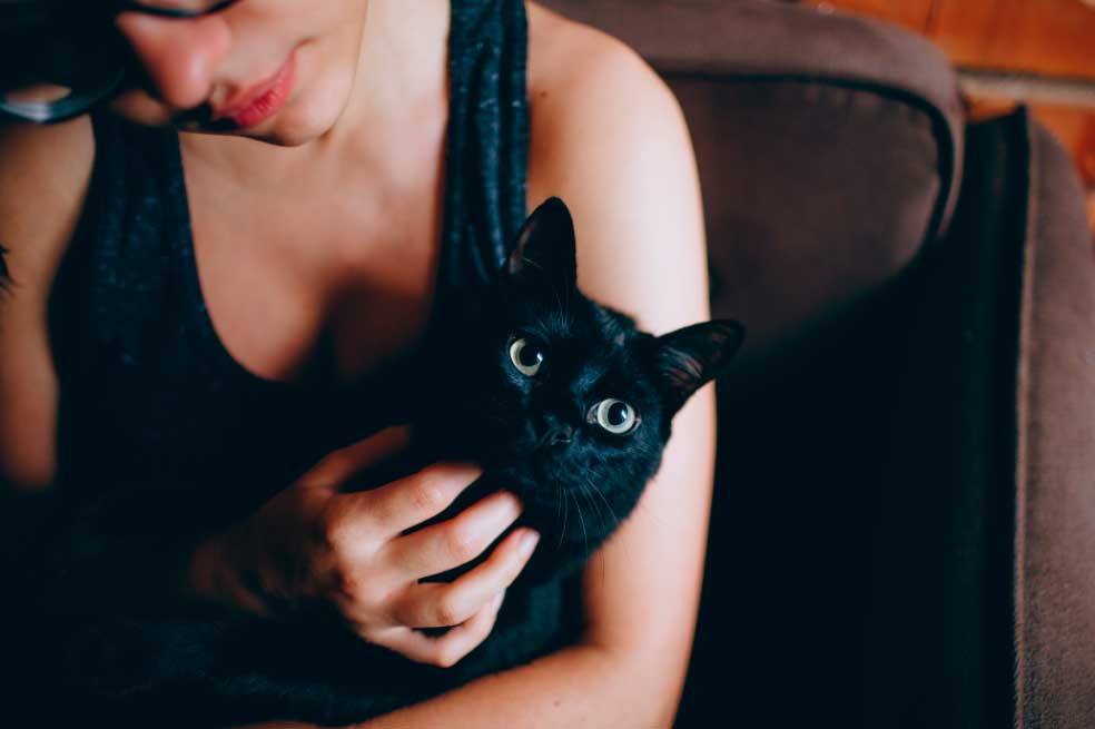 ¿Cómo suministrarle medicamentos a tu gato? Sigue estos consejos para hacerlo